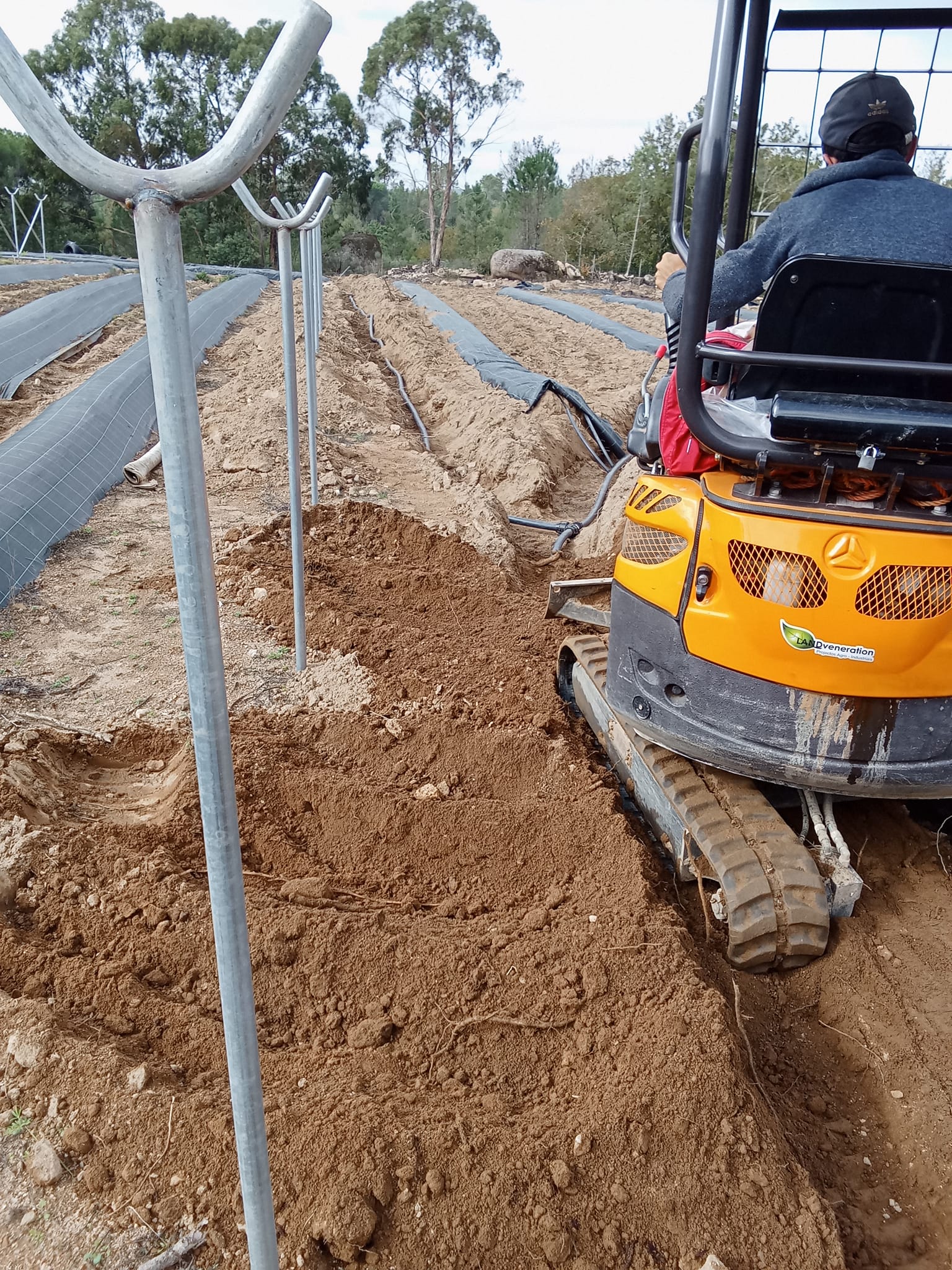 Implementação de Serviços Agrícolas