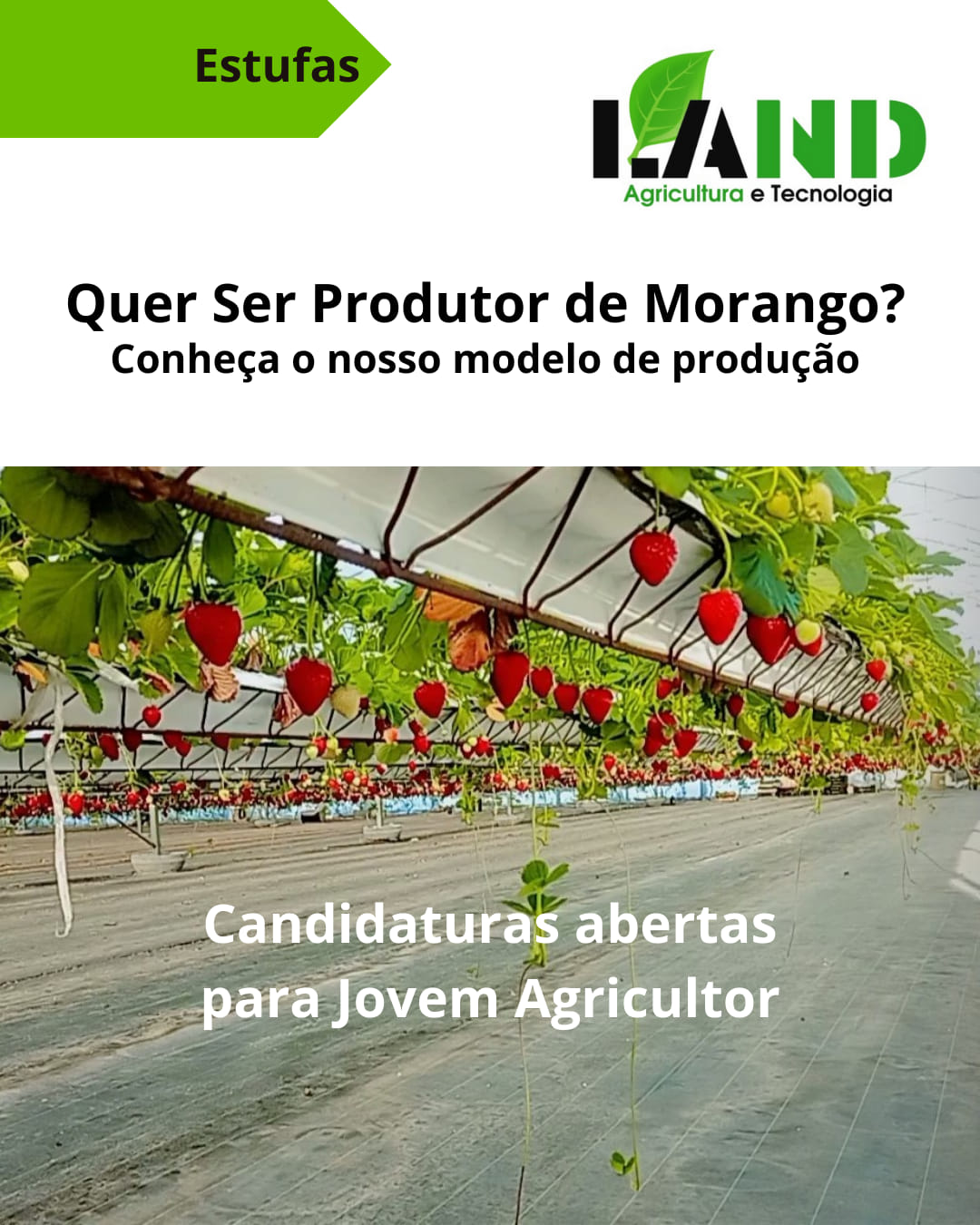 Consultadoria de Projetos Agrícolas